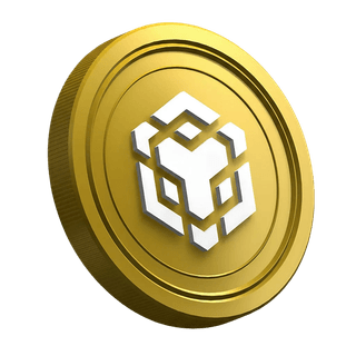 Token Binance BNB affiché sur la page du guide destiné aux nouveaux investisseurs